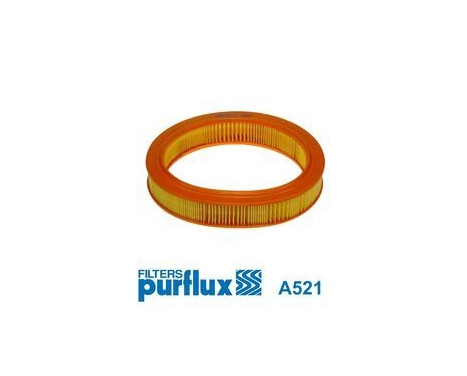 Filtro de aire A521 Purflux