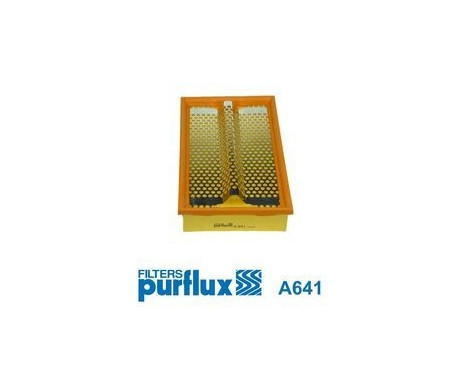 Filtro de aire A641 Purflux