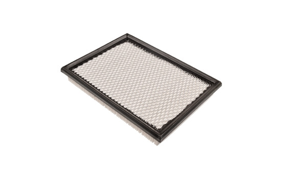 Filtro de aire ADA102240 Blue Print