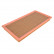 Filtro de aire ADA102255 Blue Print
