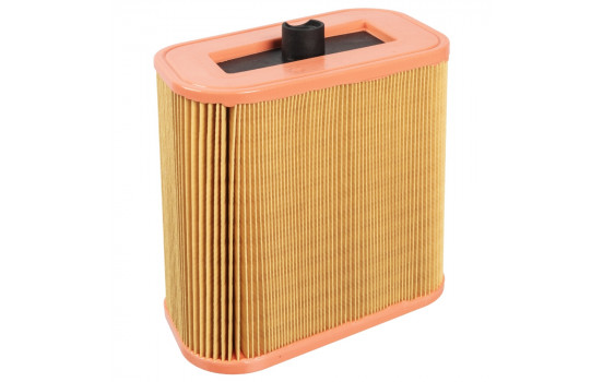 filtro de aire ADB112259 Blue Print