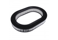 Filtro de aire ADC42212 Blue Print