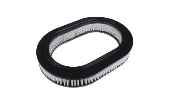 Filtro de aire ADC42212 Blue Print