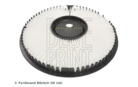 Filtro de aire ADC42221 Blue Print, Imagen 3