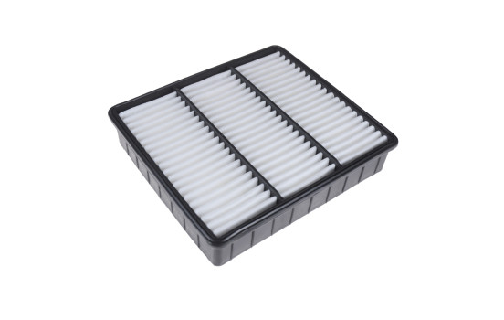Filtro de aire ADC42224 Blue Print