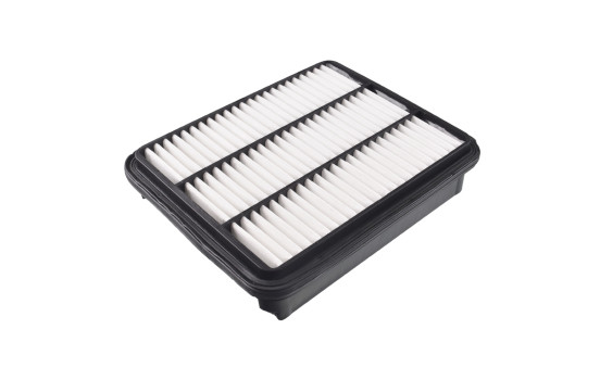 Filtro de aire ADC42225 Blue Print