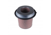 Filtro de aire ADC42229 Blue Print