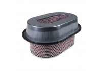 Filtro de aire ADC42232 Blue Print