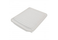 Filtro de aire ADC42246 Blue Print