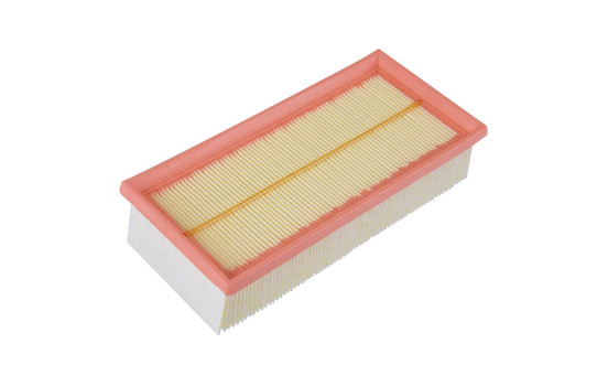Filtro de aire ADC42247 Blue Print