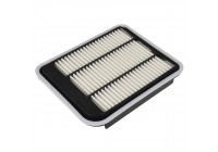Filtro de aire ADC42251 Blue Print