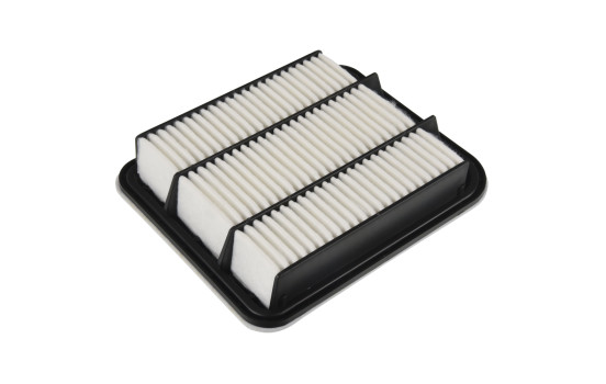 Filtro de aire ADC42251 Blue Print, Imagen 2