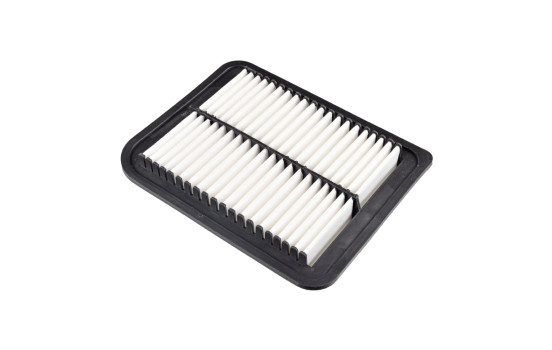 filtro de aire ADC42267 Blue Print