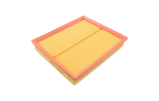 Filtro de aire ADF122207 Blue Print
