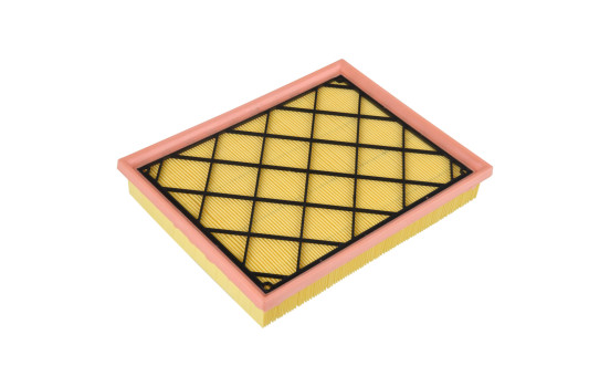 filtro de aire ADF122238 Blue Print