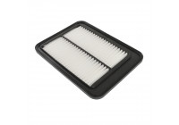 Filtro de aire ADG02287 Blue Print