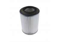 Filtro de aire ADK82202 Blue Print