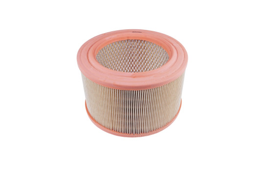 Filtro de aire ADK82206 Blue Print