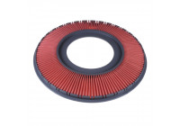 Filtro de aire ADM52220 Blue Print