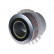 Filtro de aire ADM52233 Blue Print, Miniatura 2