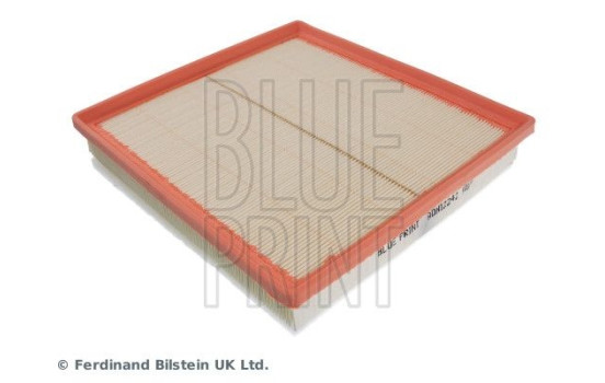 Filtro de aire ADN12242 Blue Print, Imagen 3