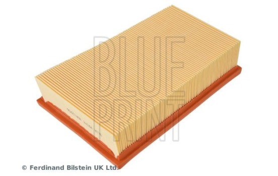 Filtro de aire ADN12256 Blue Print, Imagen 4