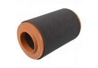 filtro de aire ADP152233 Blue Print