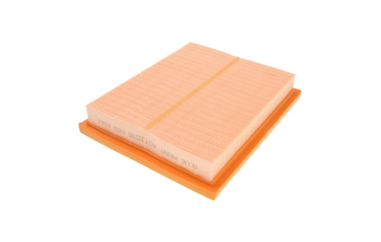 Filtro de aire ADT322110 Blue Print, Imagen 2