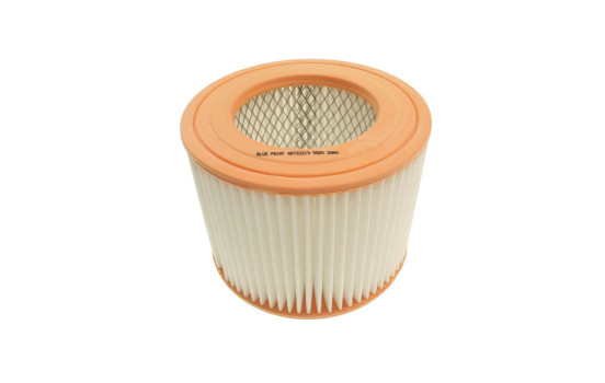 Filtro de aire ADT32219 Blue Print