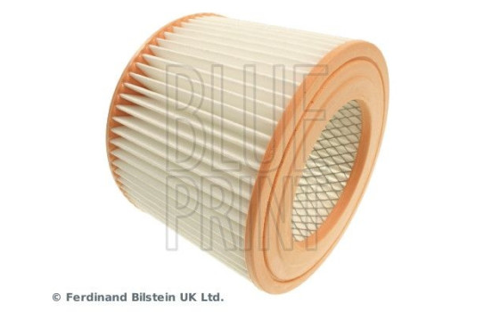 Filtro de aire ADT32219 Blue Print, Imagen 4