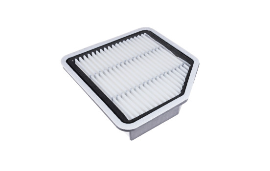 Filtro de aire ADT32290 Blue Print