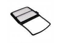 Filtro de aire ADT32291 Blue Print