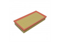 Filtro de aire ADV182217 Blue Print