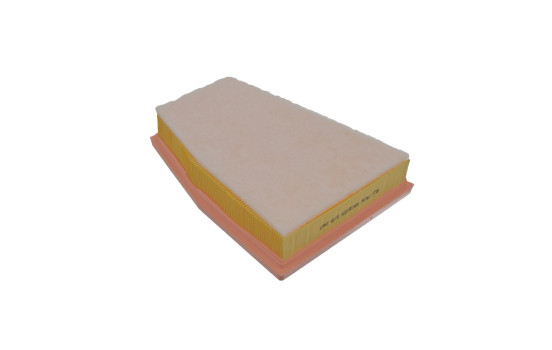 Filtro de aire ADV182225 Blue Print, Imagen 2