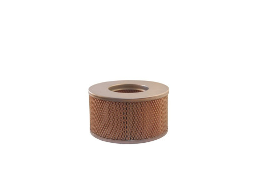 Filtro de aire AM 352/2 Filtron