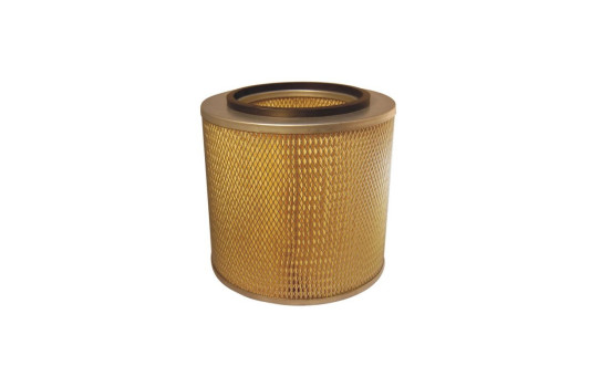 Filtro de aire AM 419 Filtron