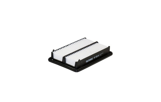 Filtro de aire AP 105/8 Filtron