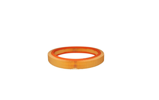 Filtro de aire AR 036 Filtron