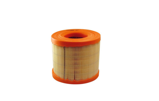 Filtro de aire AR 302/1 Filtron