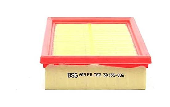 Filtro de aire BSG 30-135-006