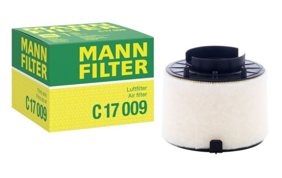 Filtro de aire C 17 009 MANN-FILTER, Imagen 4