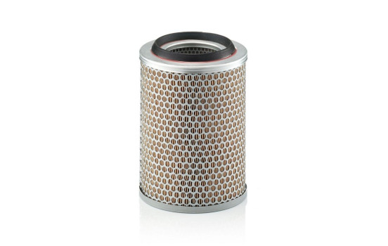 Filtro de aire C 17 217 MANN-FILTER, Imagen 2