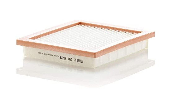 Filtro de aire C 20 029 Mann