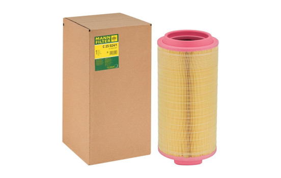 Filtro de aire C 25 024/1 MANN-FILTER, Imagen 7