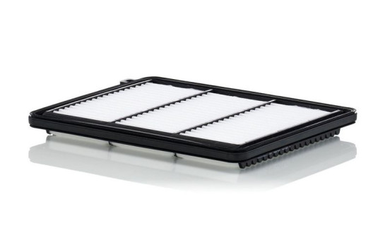 Filtro de aire C 25 051 Mann