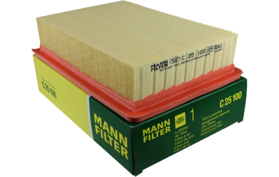 Filtro de aire C 25 100 MANN-FILTER