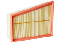 Filtro de aire C 25 115 MANN-FILTER