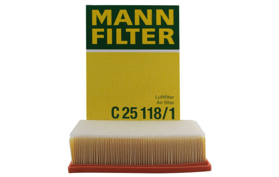 Filtro de aire C 25 118/1 Mann