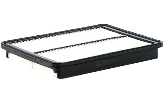 Filtro de aire C 30 017 Mann
