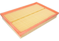 Filtro de aire C 31 123 MANN-FILTER